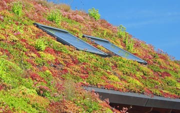 Old Tinnis living roof systems