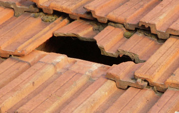 roof repair Old Tinnis, Scottish Borders